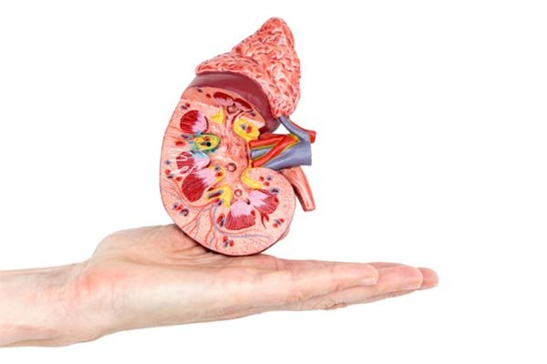 Diabetic Kidney Disease