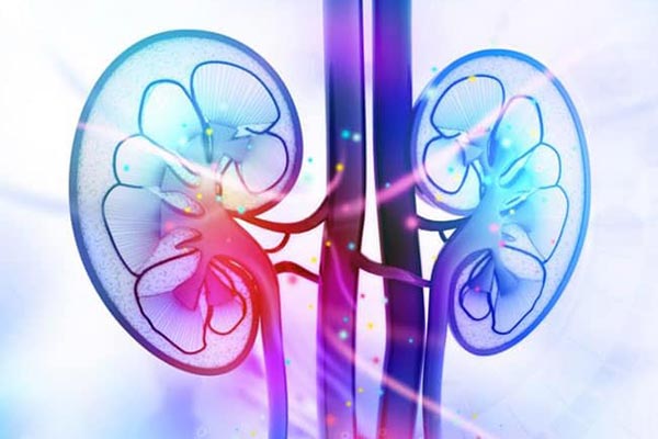 How To Take Care Of The Kidneys