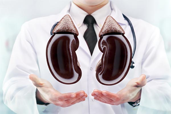 Health Care for a Chronic Kidney Patient
