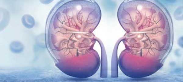 Habits That Can Affect Your Kidneys
