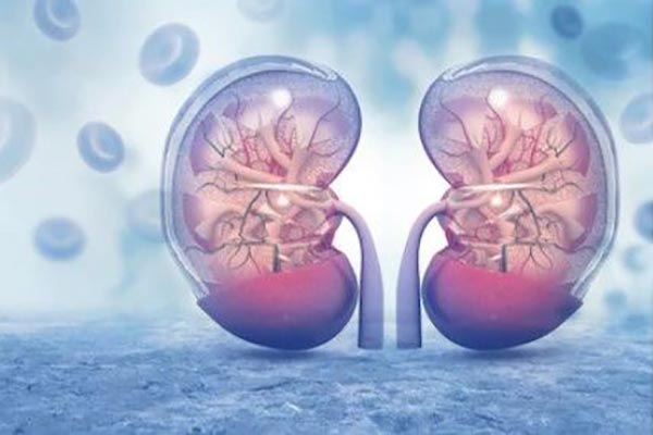 Habits That Can Affect Your Kidneys