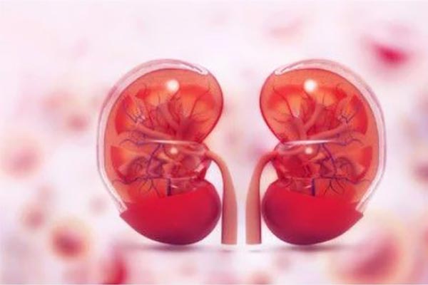 Causes of Renal Failure