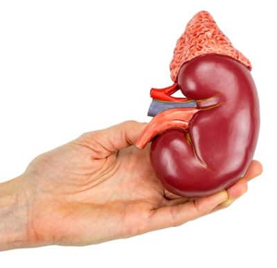 kidney-transplant-doctor-in-delhi
