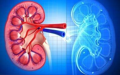 dialysis